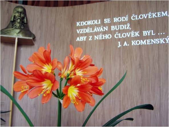 Motivace studia